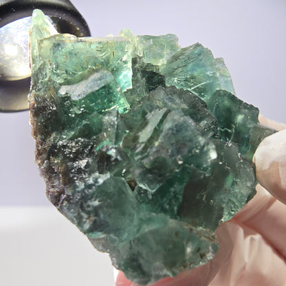 Spécimen de cube de fluorite fantôme transparente, vert parqueté, Okorusu, Namibie, 57 x 44 x 19 mm 