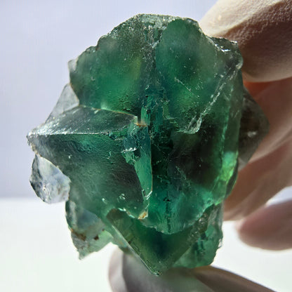 Spécimen de cube de fluorite fantôme transparente, vert parqueté, Okorusu, Namibie, 48 x 29 x 25 mm 