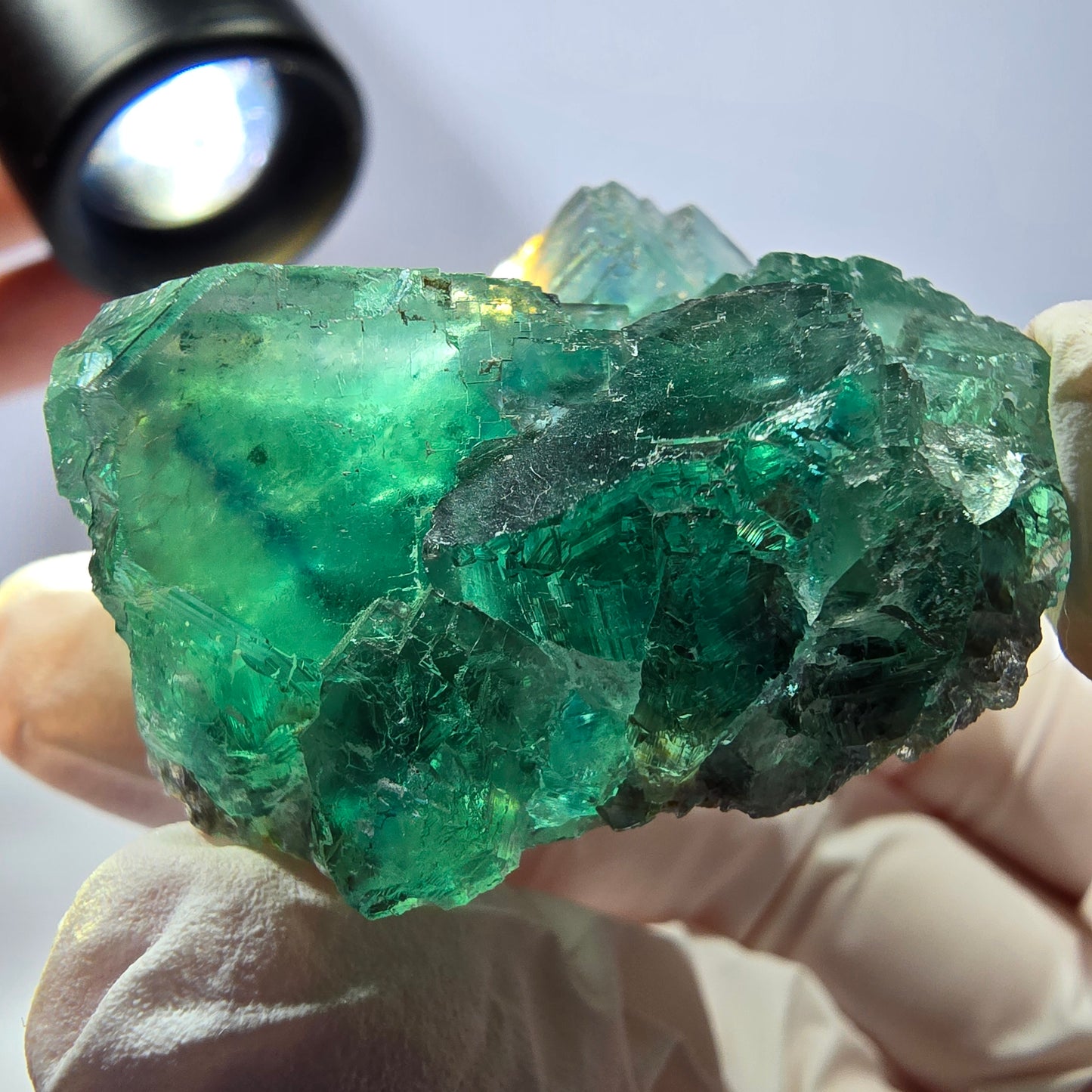 Spécimen de cube de fluorite fantôme transparente, vert parqueté, Okorusu, Namibie, 48 x 36 x 21 mm 