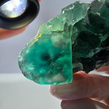 Spécimen de cube de fluorite fantôme transparente, vert parqueté, Okorusu, Namibie, 49 x 31 x 16 mm 