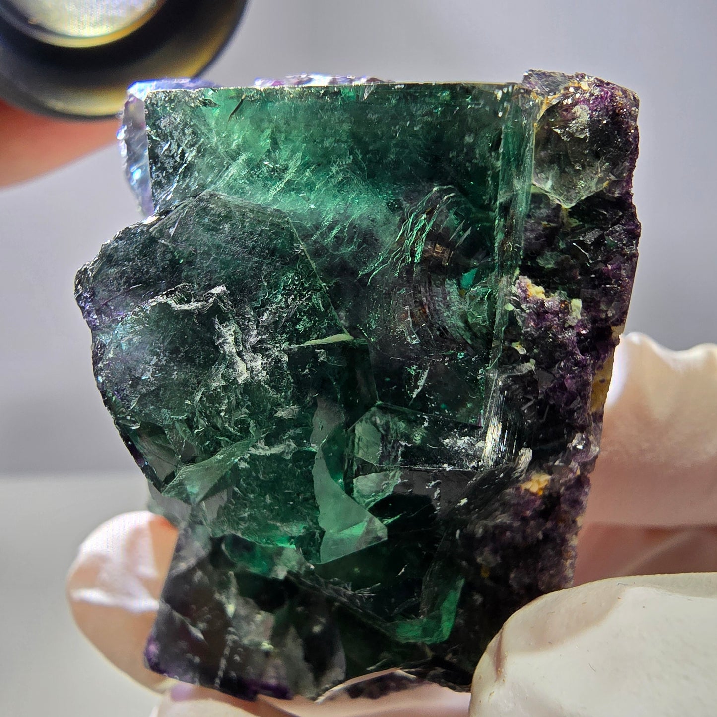 Spécimen de cube de fluorite fantôme, parqueté vert violet Okorusu, Namibie 50*43*30 mm 