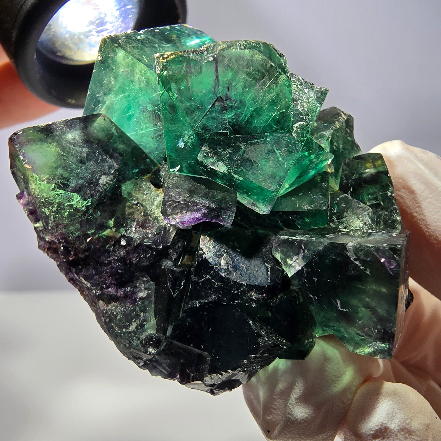 Spécimen de cube de fluorite fantôme, parqueté vert violet Okorusu, Namibie 50*43*30 mm 