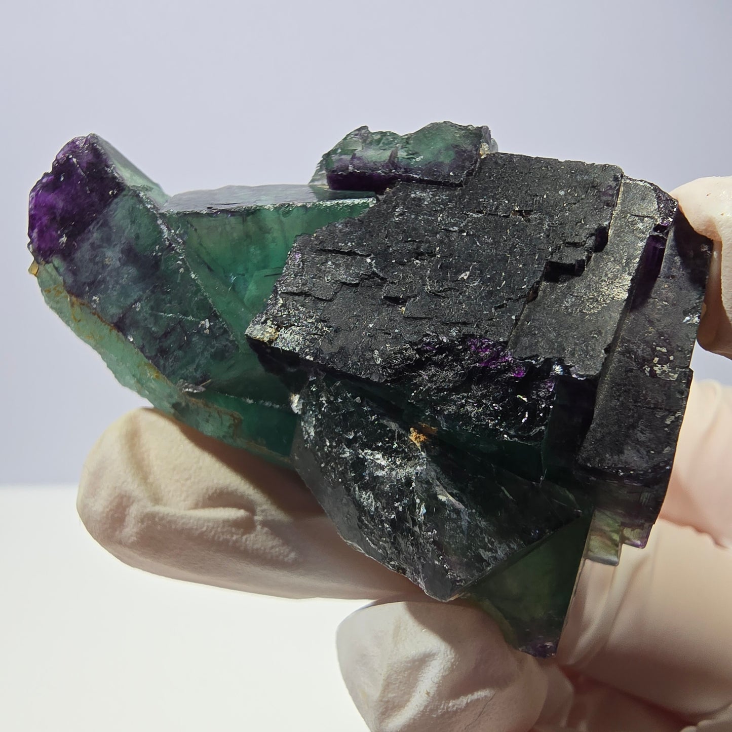 Spécimen de cube de fluorite fantôme, parqueté vert violet Okorusu, Namibie 59*41*24 mm 