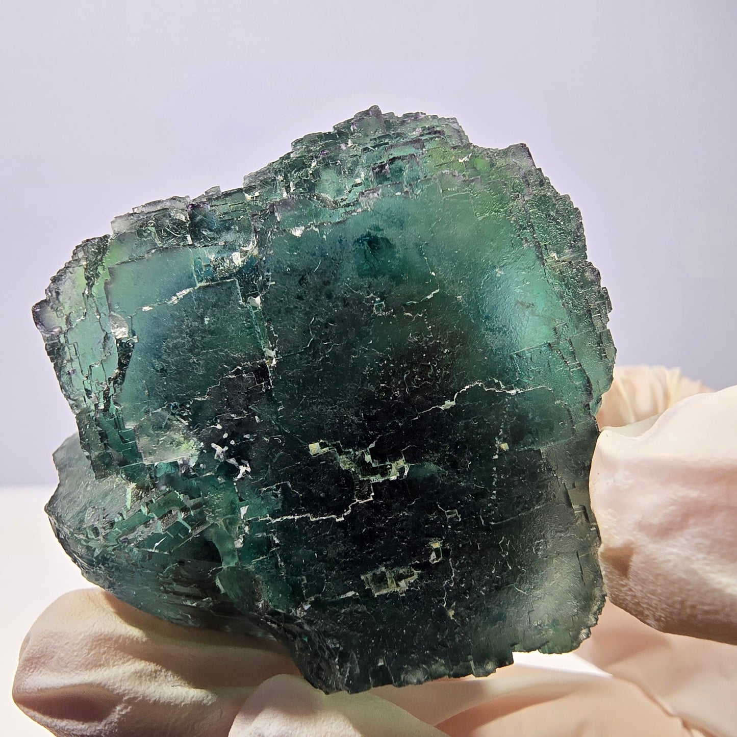 Spécimen de cube de fluorite fantôme, parqueté vert violet Okorusu, Namibie 45*43*31 mm 