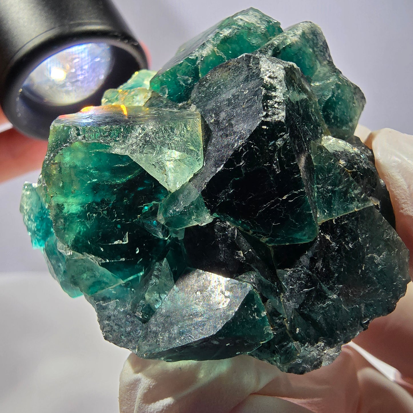 Spécimen de cube de fluorite fantôme, parqueté vert violet Okorusu, Namibie 53*49*28 mm 
