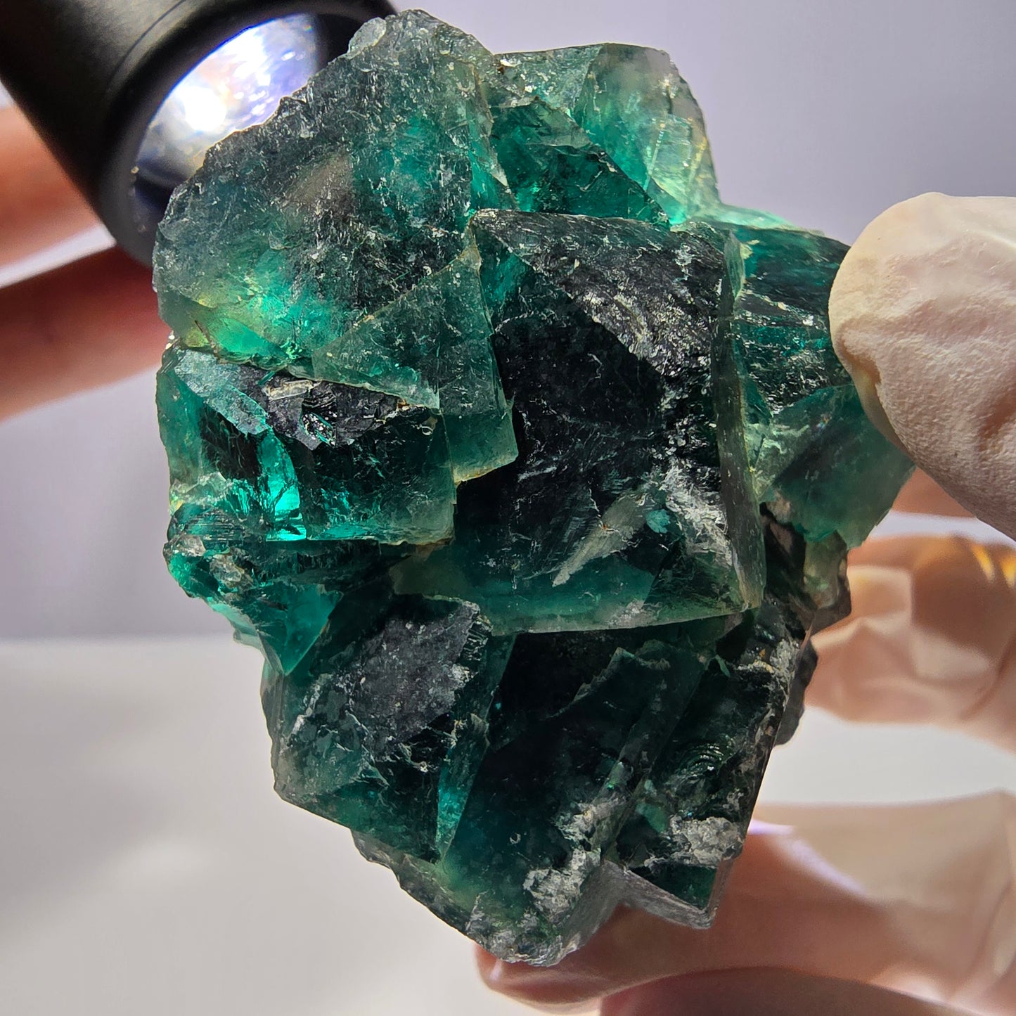 Spécimen de cube de fluorite fantôme, parqueté vert violet Okorusu, Namibie 53*49*28 mm 