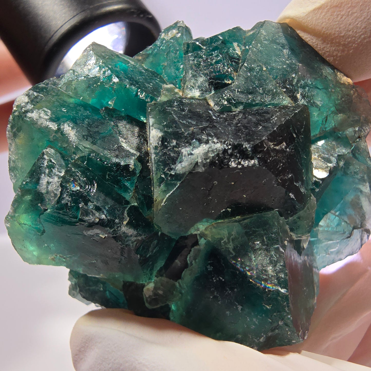 Spécimen de cube de fluorite fantôme, parqueté vert violet Okorusu, Namibie 53*49*28 mm 
