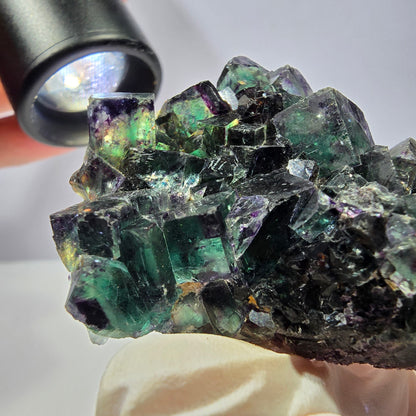 Phantom Fluorite Cube Specimen, parquetted green purple Okorusu, Namibia 52*41*18mm 