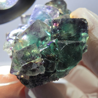 Phantom Fluorite Cube Specimen, parquetted green purple Okorusu, Namibia 52*41*18mm 