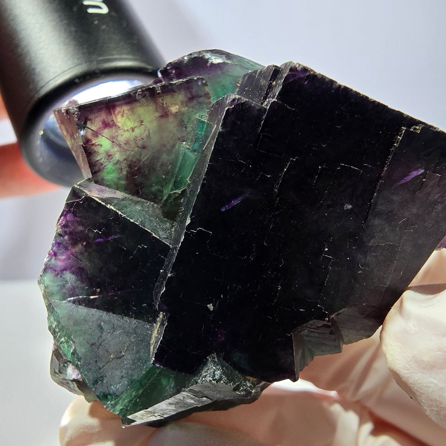 Spécimen de cube de fluorite fantôme, parqueté vert violet Okorusu, Namibie 56*51*45 mm 
