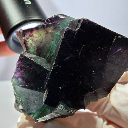 Spécimen de cube de fluorite fantôme, parqueté vert violet Okorusu, Namibie 56*51*45 mm 