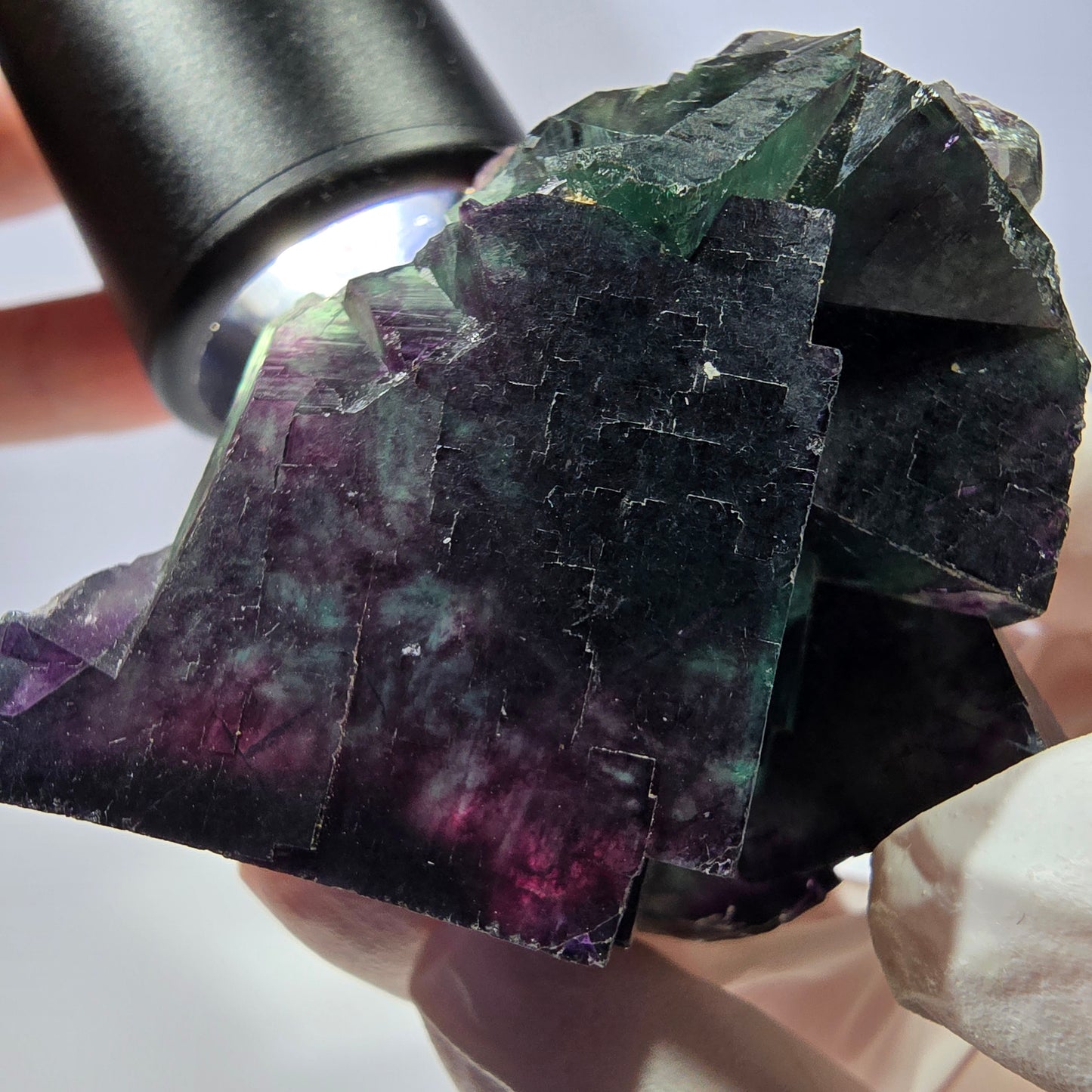 Spécimen de cube de fluorite fantôme, parqueté vert violet Okorusu, Namibie 56*51*45 mm 