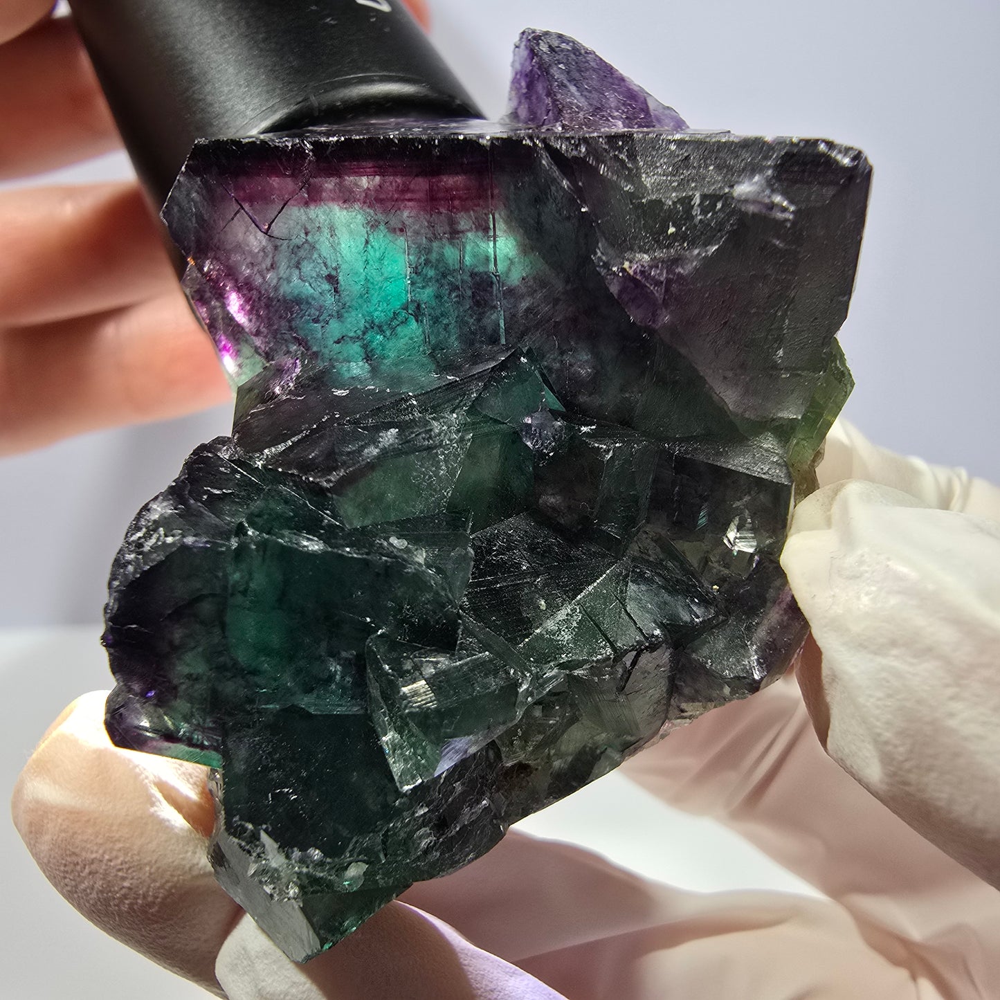 Spécimen de cube de fluorite fantôme, parqueté vert violet Okorusu, Namibie 58*40*27 mm 