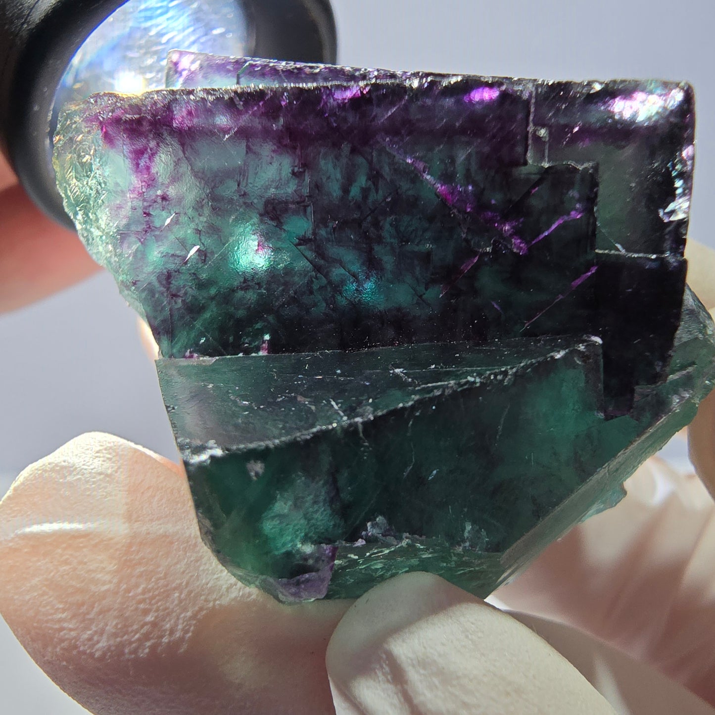 Spécimen de cube de fluorite fantôme, parqueté vert violet Okorusu, Namibie 41*41*25 mm 
