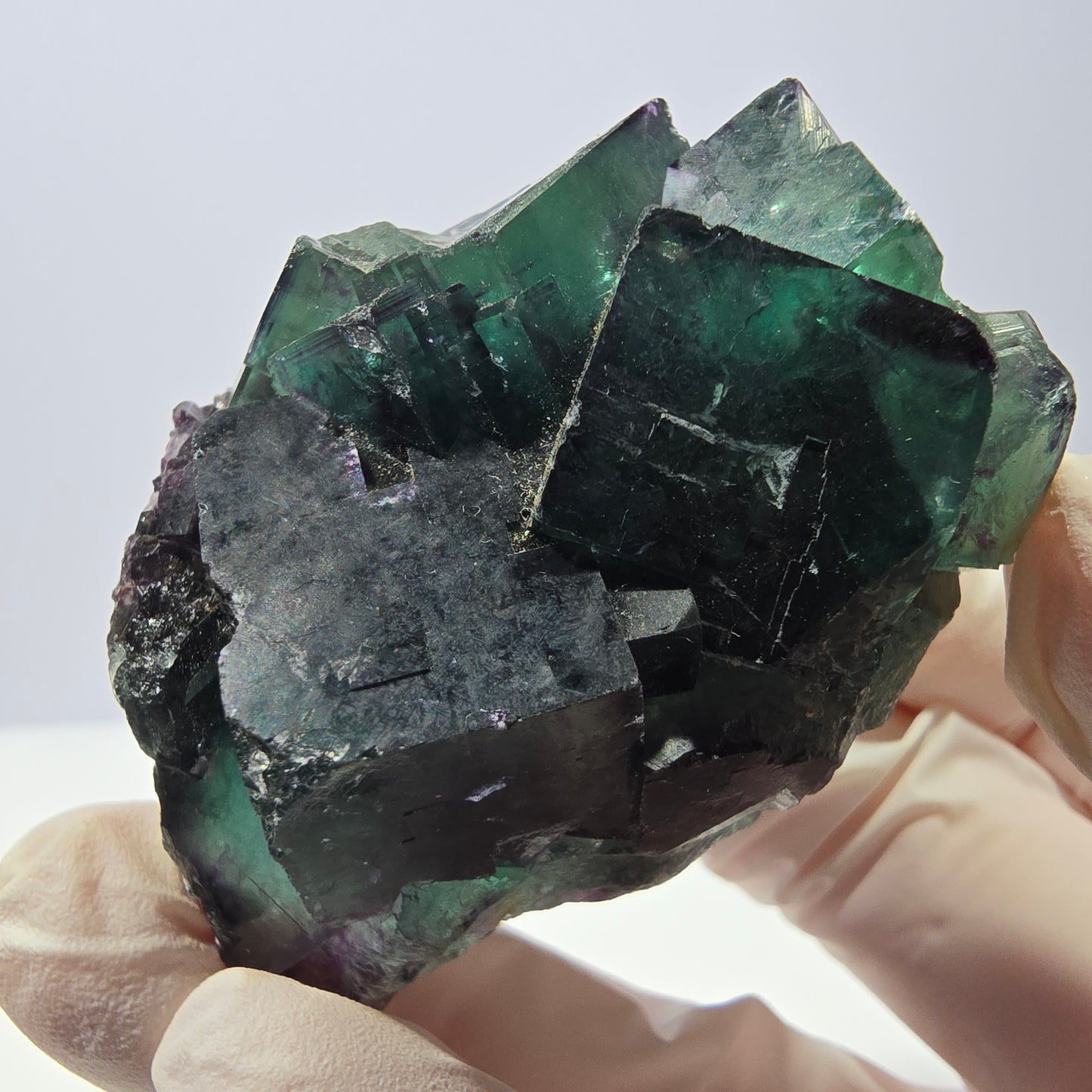 Spécimen de cube de fluorite fantôme, parqueté vert violet Okorusu, Namibie 54*40*27 mm 