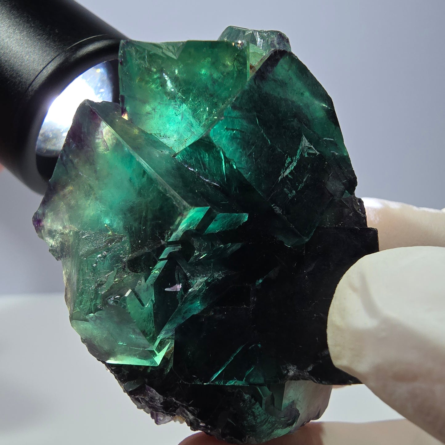 Spécimen de cube de fluorite fantôme, parqueté vert violet Okorusu, Namibie 54*40*27 mm 