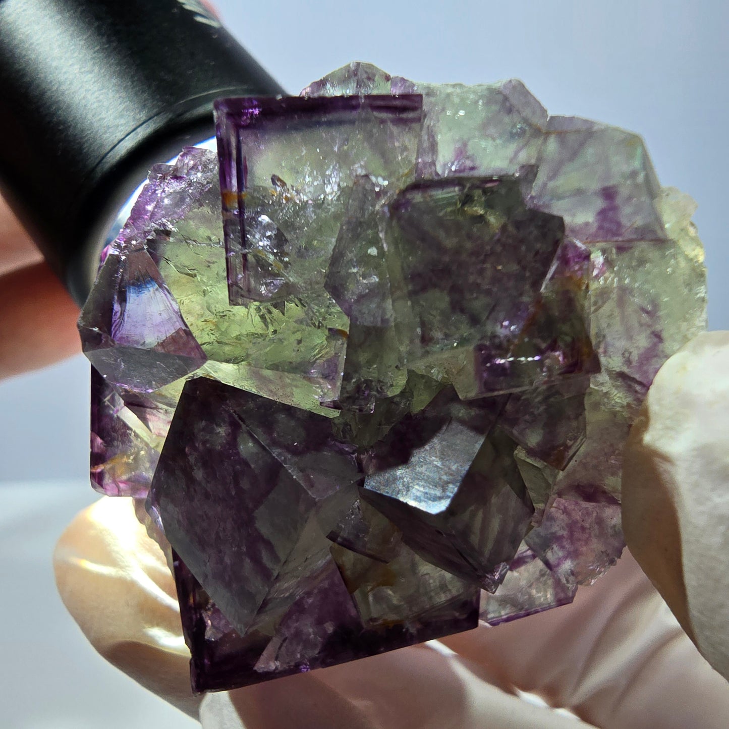 Spécimen de cube de fluorite fantôme, parqueté vert violet Okorusu, Namibie 46*41*26 mm 