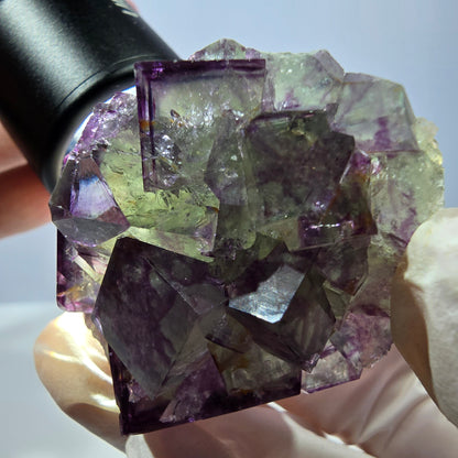 Spécimen de cube de fluorite fantôme, parqueté vert violet Okorusu, Namibie 46*41*26 mm 