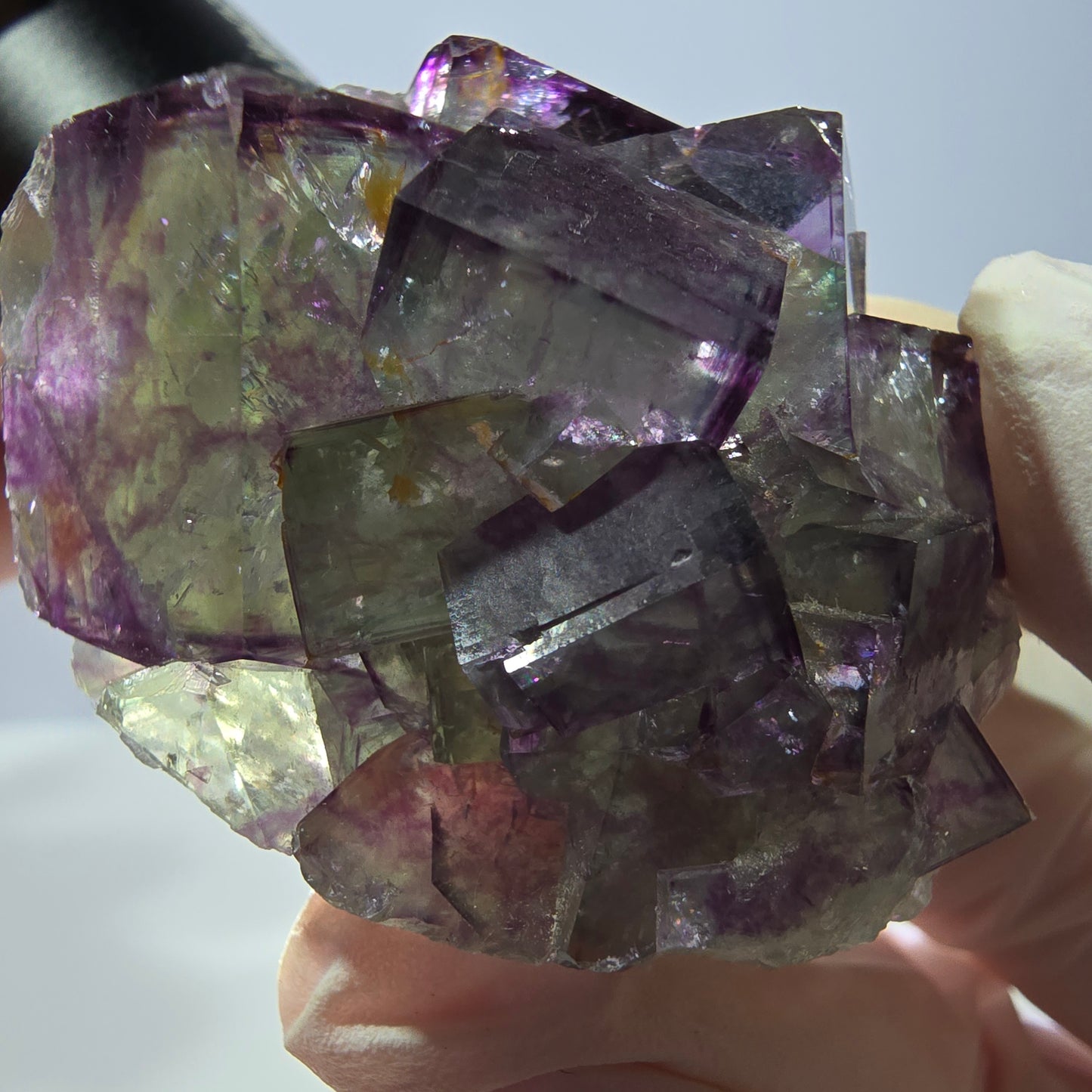 Spécimen de cube de fluorite fantôme, parqueté vert violet Okorusu, Namibie 46*41*26 mm 