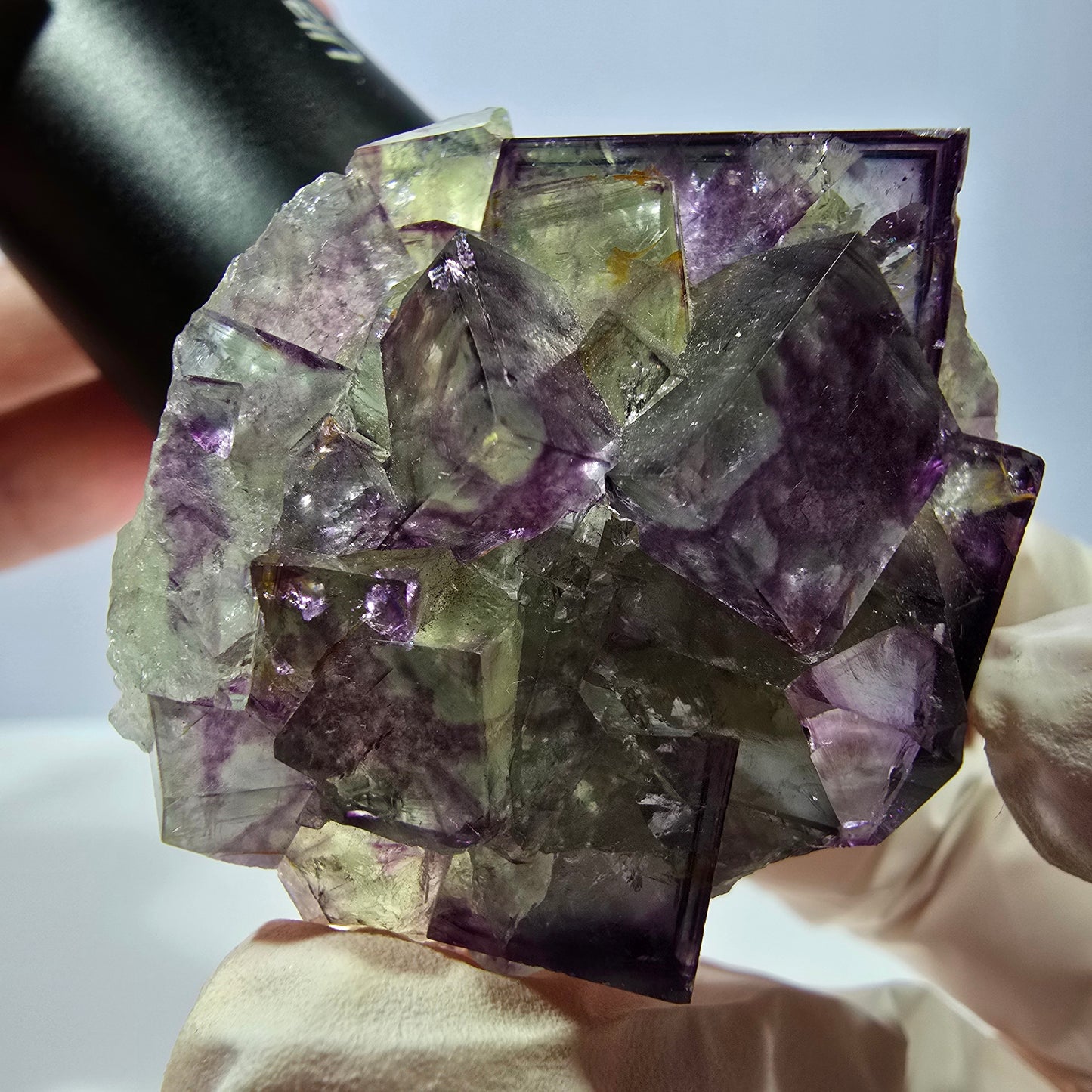 Spécimen de cube de fluorite fantôme, parqueté vert violet Okorusu, Namibie 46*41*26 mm 
