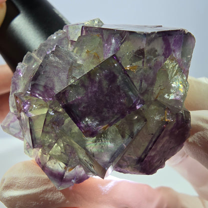 Spécimen de cube de fluorite fantôme, parqueté vert violet Okorusu, Namibie 46*41*26 mm 