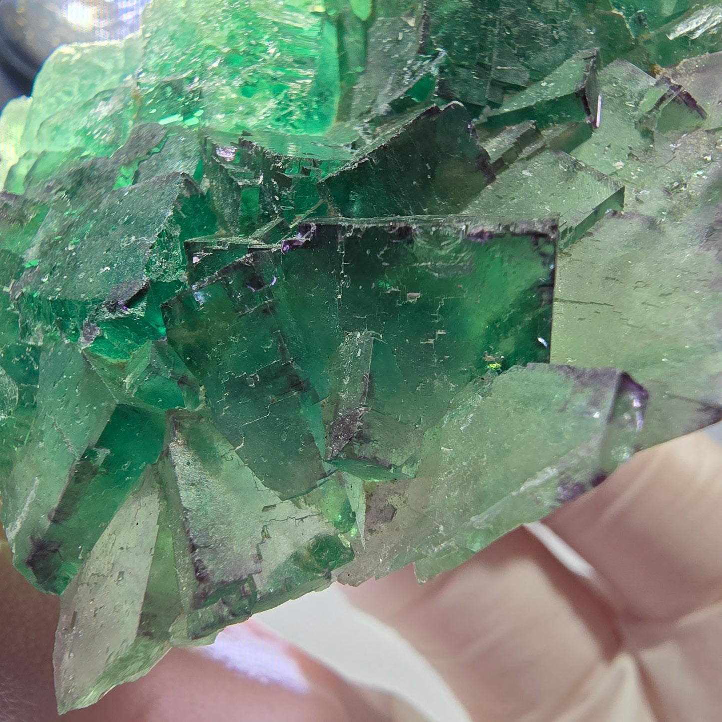 Spécimen de cube de fluorite fantôme, parqueté vert violet Okorusu, Namibie 55*41*16 mm 