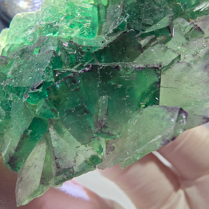 Spécimen de cube de fluorite fantôme, parqueté vert violet Okorusu, Namibie 55*41*16 mm 