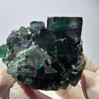 Spécimen de cube de fluorite fantôme, parqueté vert violet Okorusu, Namibie 59*46*39 mm 