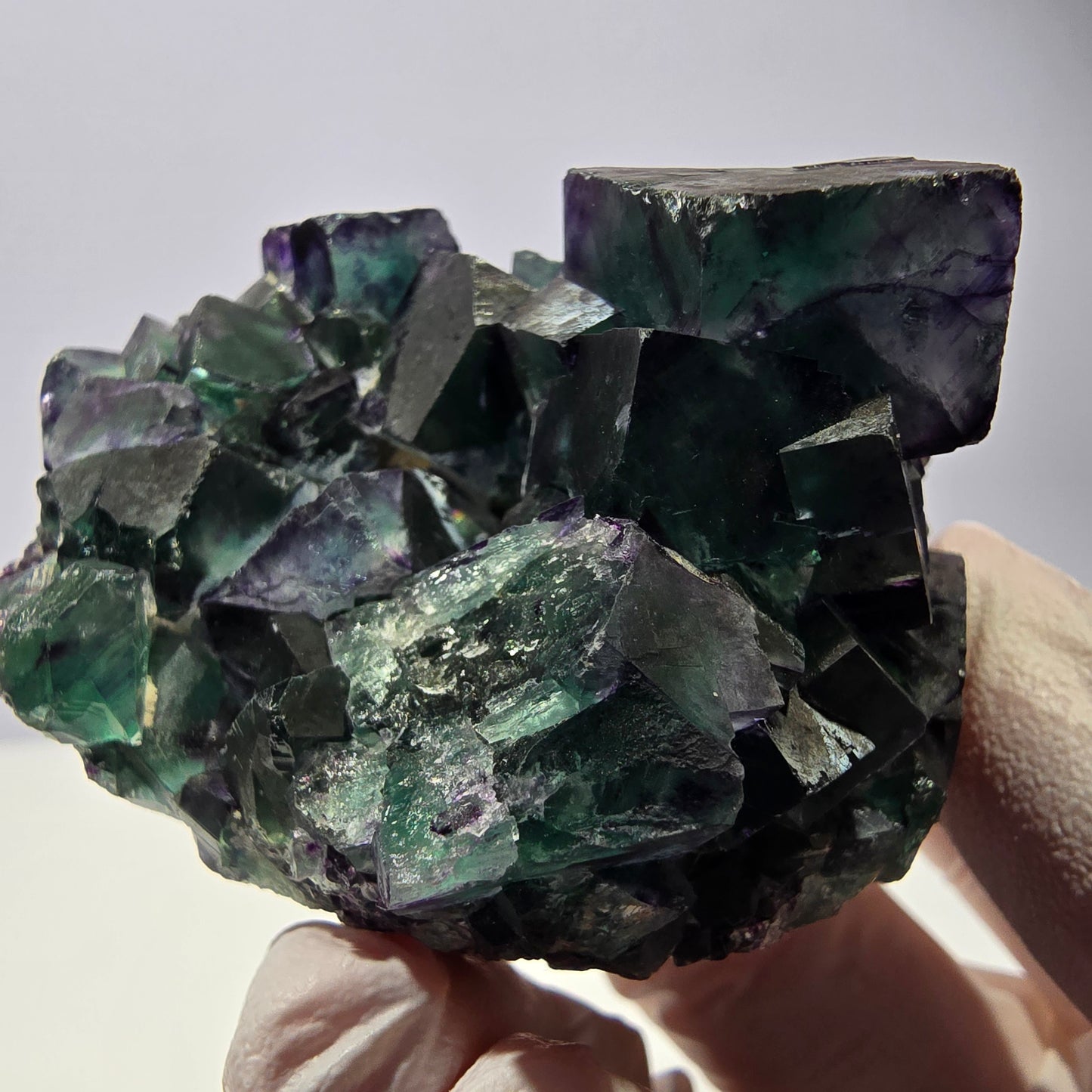 Spécimen de cube de fluorite fantôme, parqueté vert violet Okorusu, Namibie 59*46*39 mm 