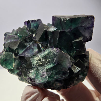 Spécimen de cube de fluorite fantôme, parqueté vert violet Okorusu, Namibie 59*46*39 mm 