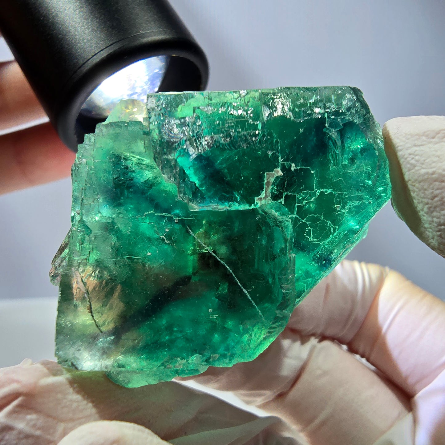 Spécimen de cube de fluorite fantôme, vert parqueté Okorusu, Namibie 50 x 36 x 33 mm 