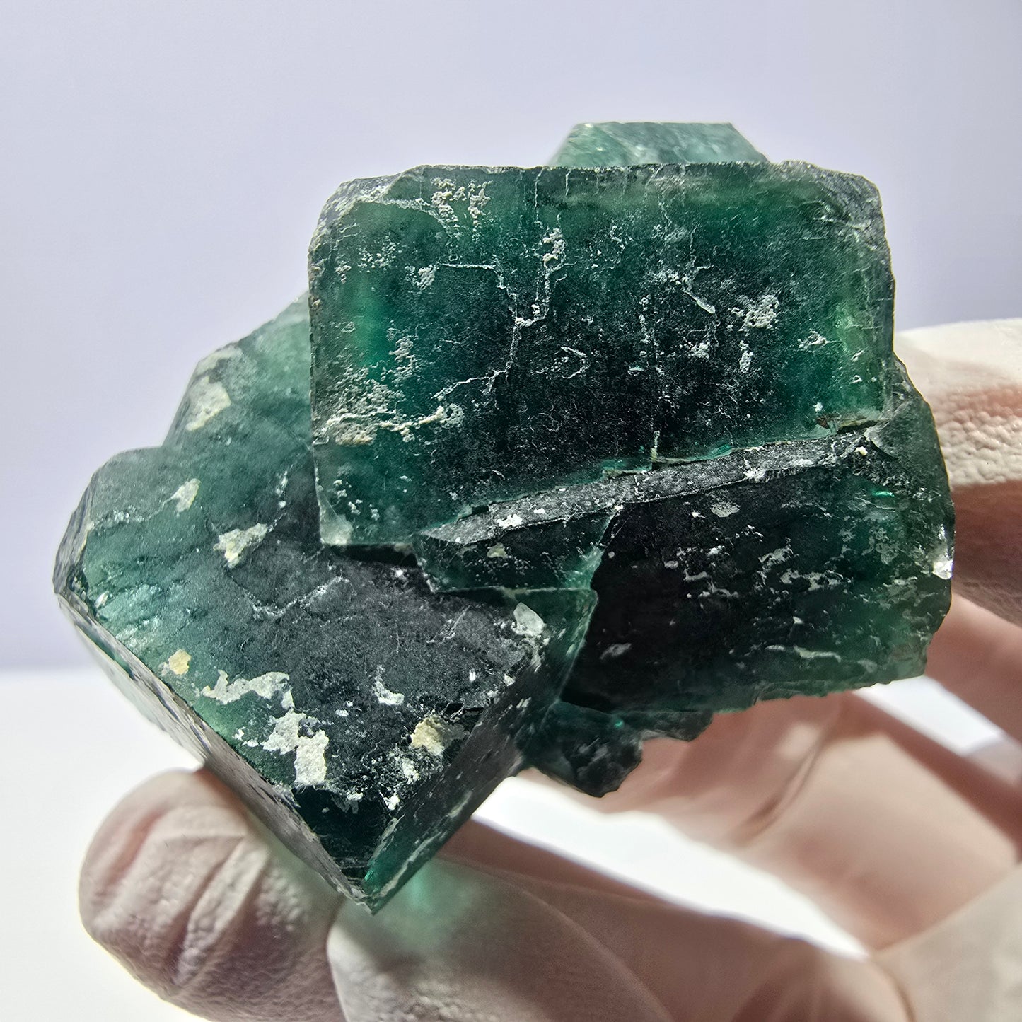 Spécimen de cube de fluorite fantôme, parqueté vert violet Okorusu, Namibie 51*46*28 mm 
