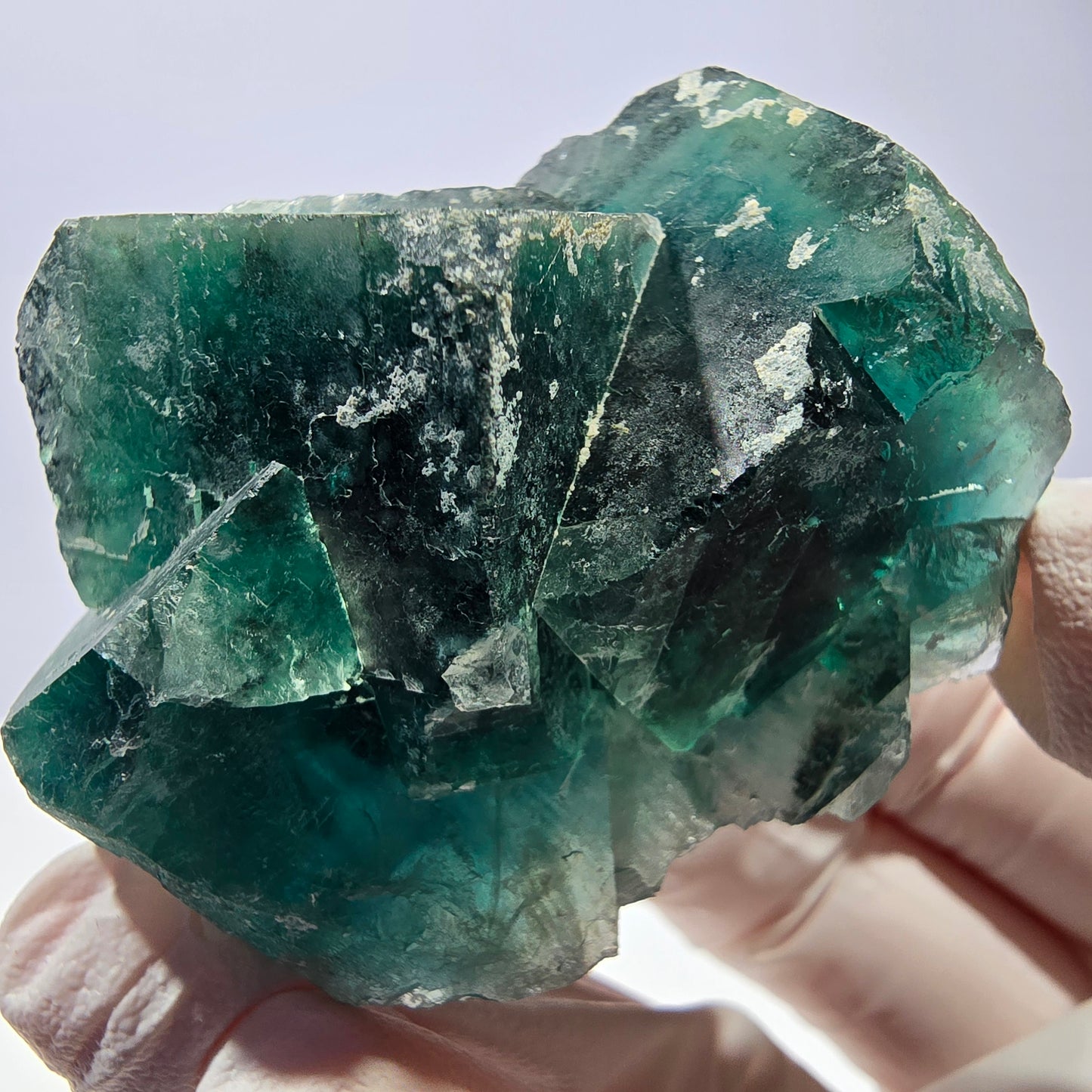 Spécimen de cube de fluorite fantôme, parqueté vert violet Okorusu, Namibie 51*46*28 mm 