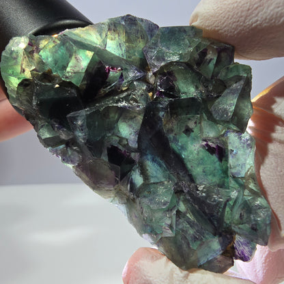 Spécimen de cube de fluorite fantôme, parqueté vert violet Okorusu, Namibie 64*41*19 mm 