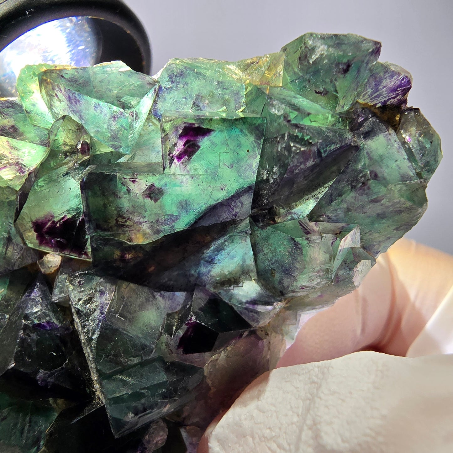 Spécimen de cube de fluorite fantôme, parqueté vert violet Okorusu, Namibie 64*41*19 mm 