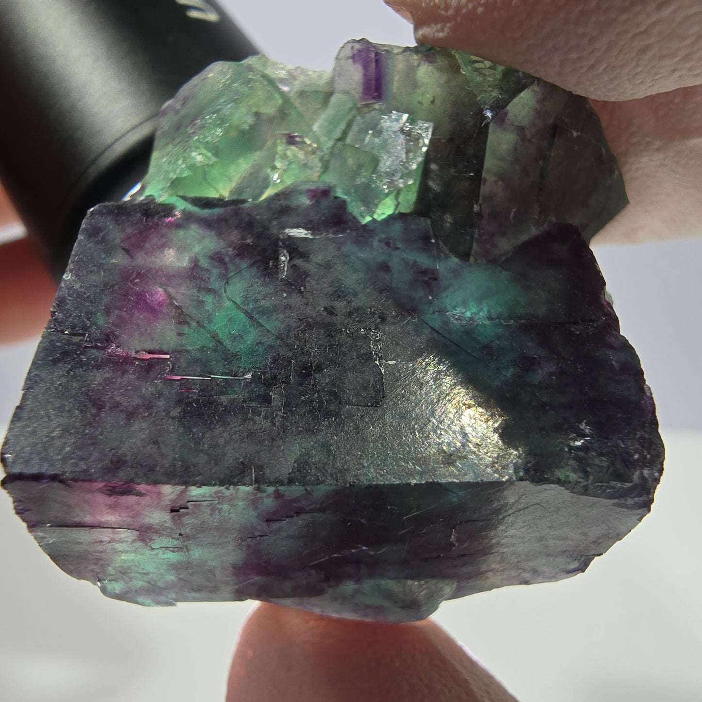 Spécimen de cube de fluorite fantôme, parqueté vert violet Okorusu, Namibie 36*31*29 mm 