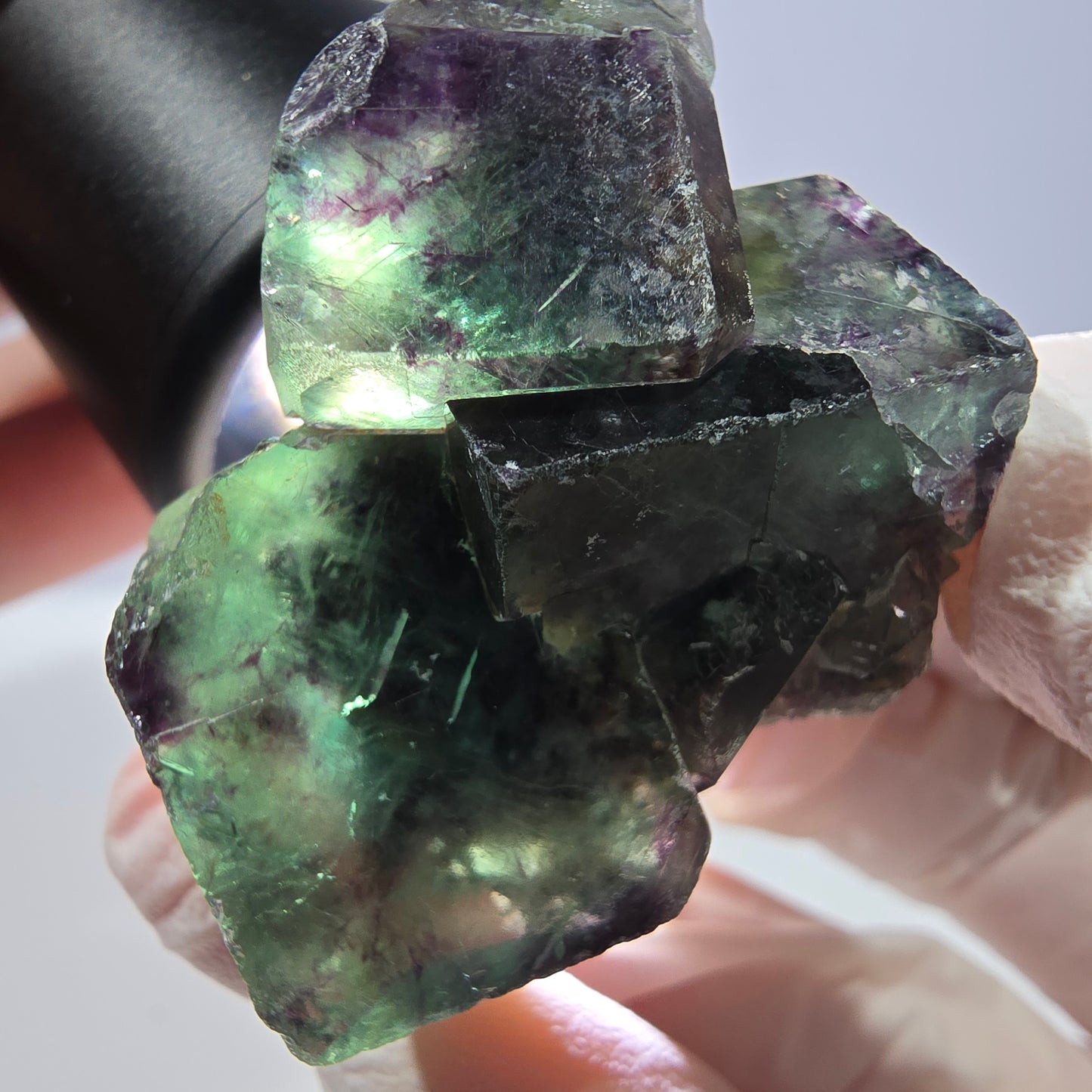 Spécimen de cube de fluorite fantôme, parqueté vert violet Okorusu, Namibie 33*34*21 mm 