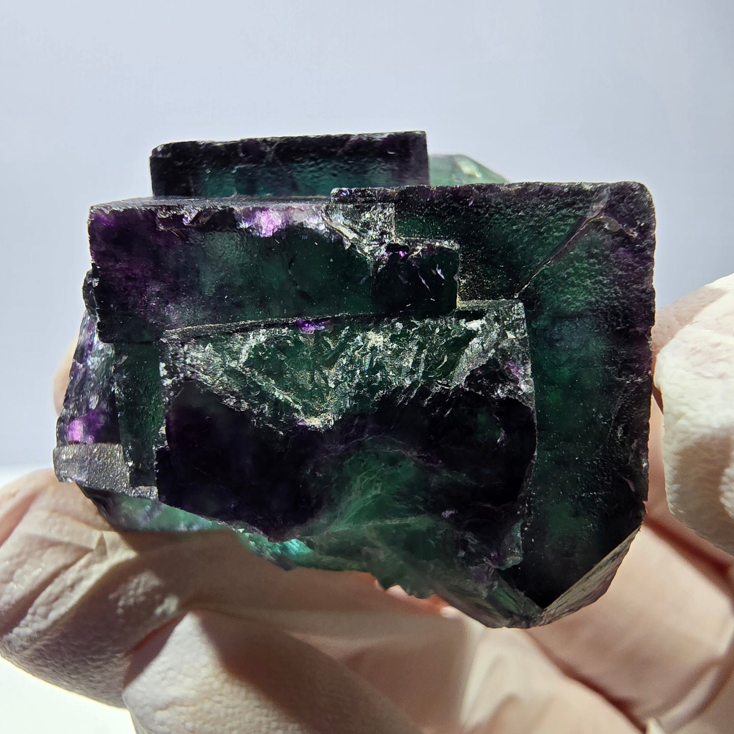 Spécimen de cube de fluorite fantôme, parqueté vert violet Okorusu, Namibie 39*33*22 mm 