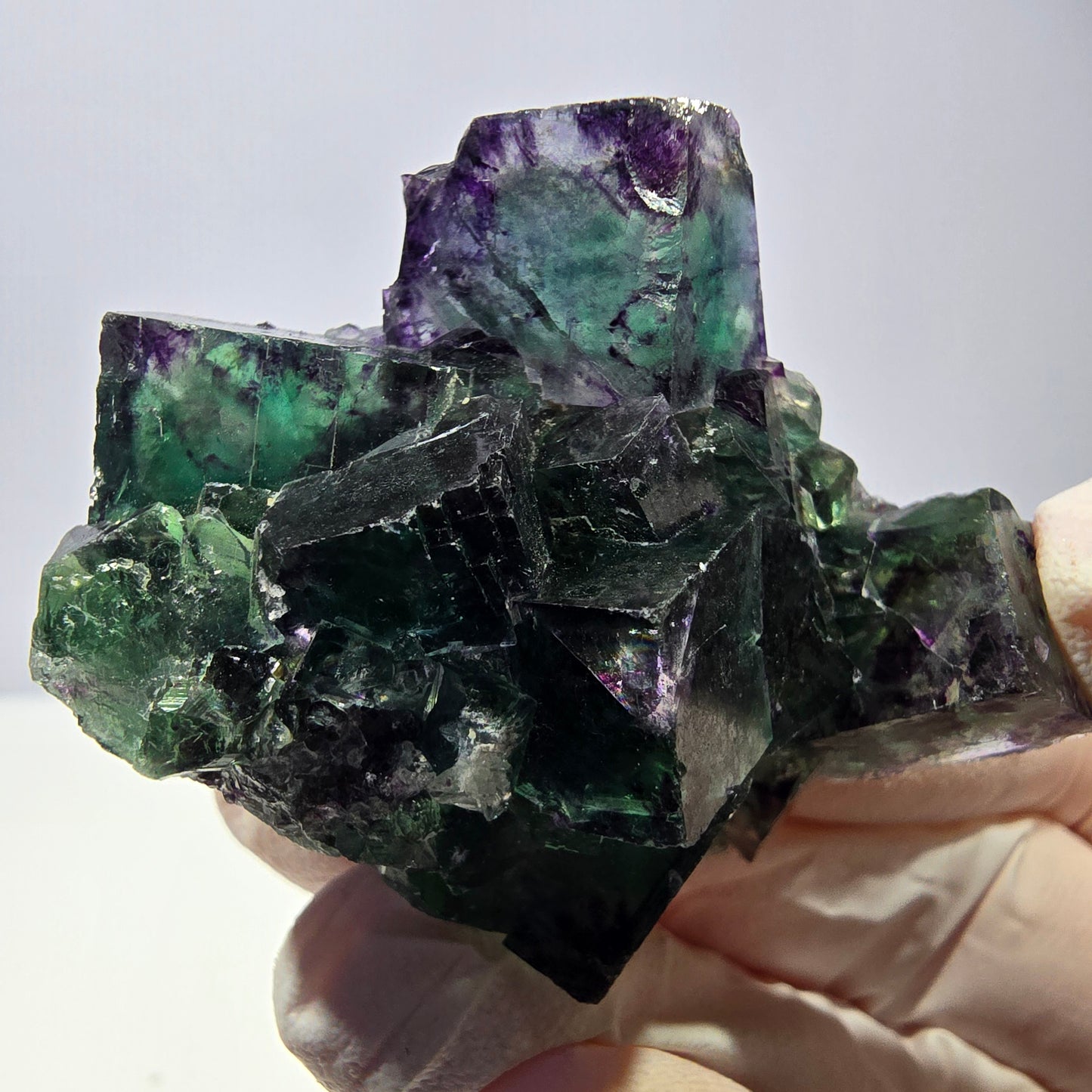 Spécimen de cube de fluorite fantôme, parqueté vert violet Okorusu, Namibie 51*39*24 mm 