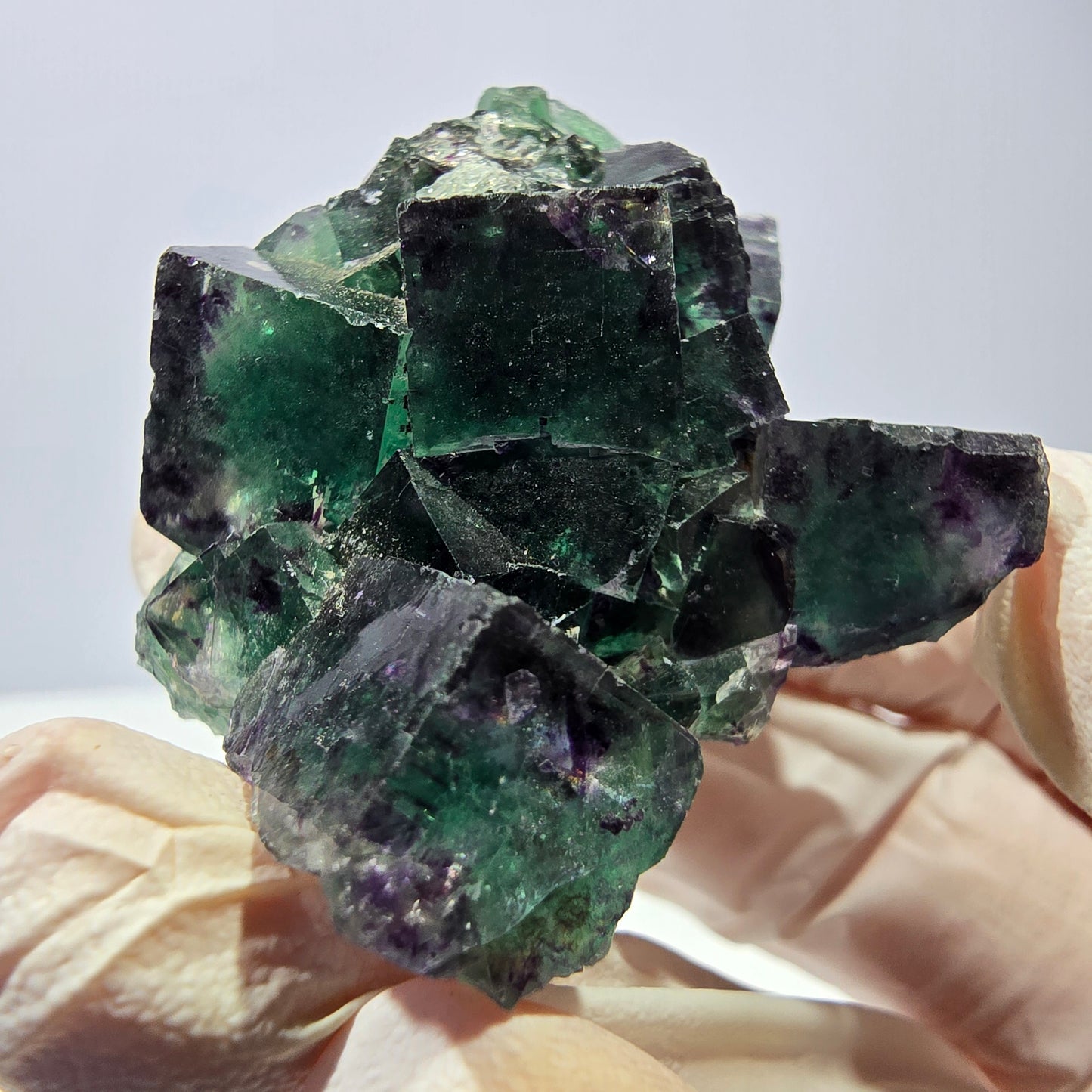 Spécimen de cube de fluorite fantôme, parqueté vert violet Okorusu, Namibie 51*39*24 mm 