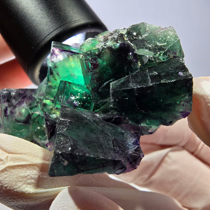 Spécimen de cube de fluorite fantôme, parqueté vert violet Okorusu, Namibie 51*39*24 mm 