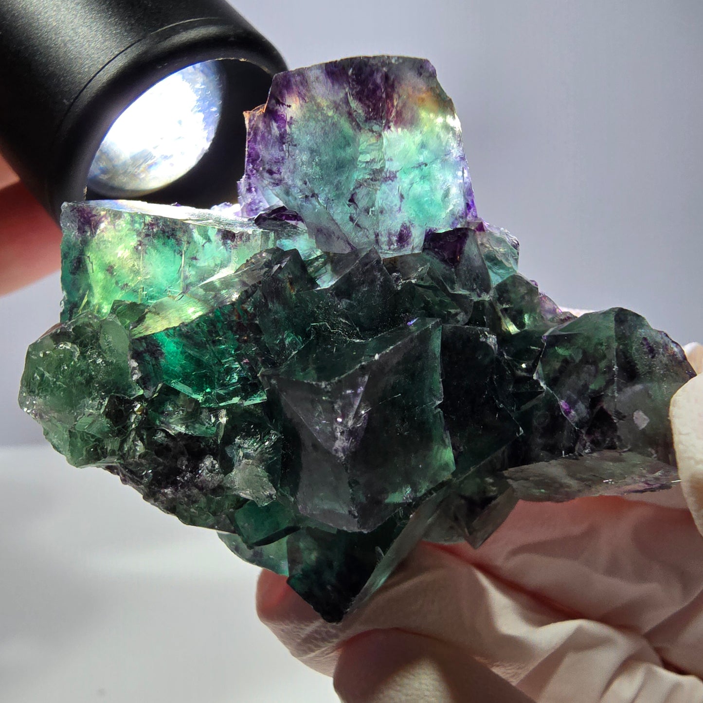 Spécimen de cube de fluorite fantôme, parqueté vert violet Okorusu, Namibie 51*39*24 mm 