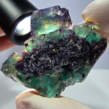 Spécimen de cube de fluorite fantôme, parqueté vert violet Okorusu, Namibie 51*39*24 mm 