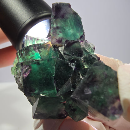 Spécimen de cube de fluorite fantôme, parqueté vert violet Okorusu, Namibie 51*39*24 mm 