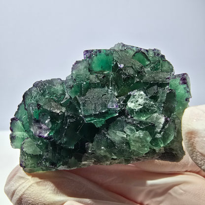 Spécimen de cube de fluorite fantôme, parqueté, zonal Okorusu, Namibie 51*34*28mm 