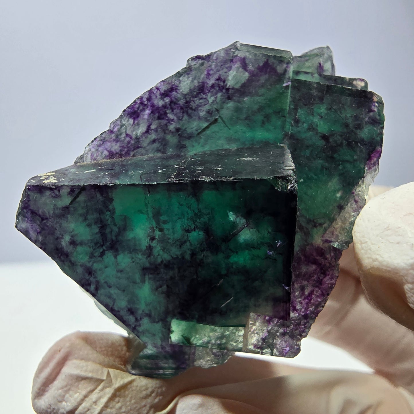 Spécimen de cube de fluorite fantôme, parqueté vert violet Okorusu, Namibie 49*30*22 mm 