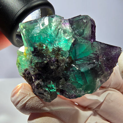 Spécimen de cube de fluorite fantôme, parqueté vert violet Okorusu, Namibie 45*33*24 mm 