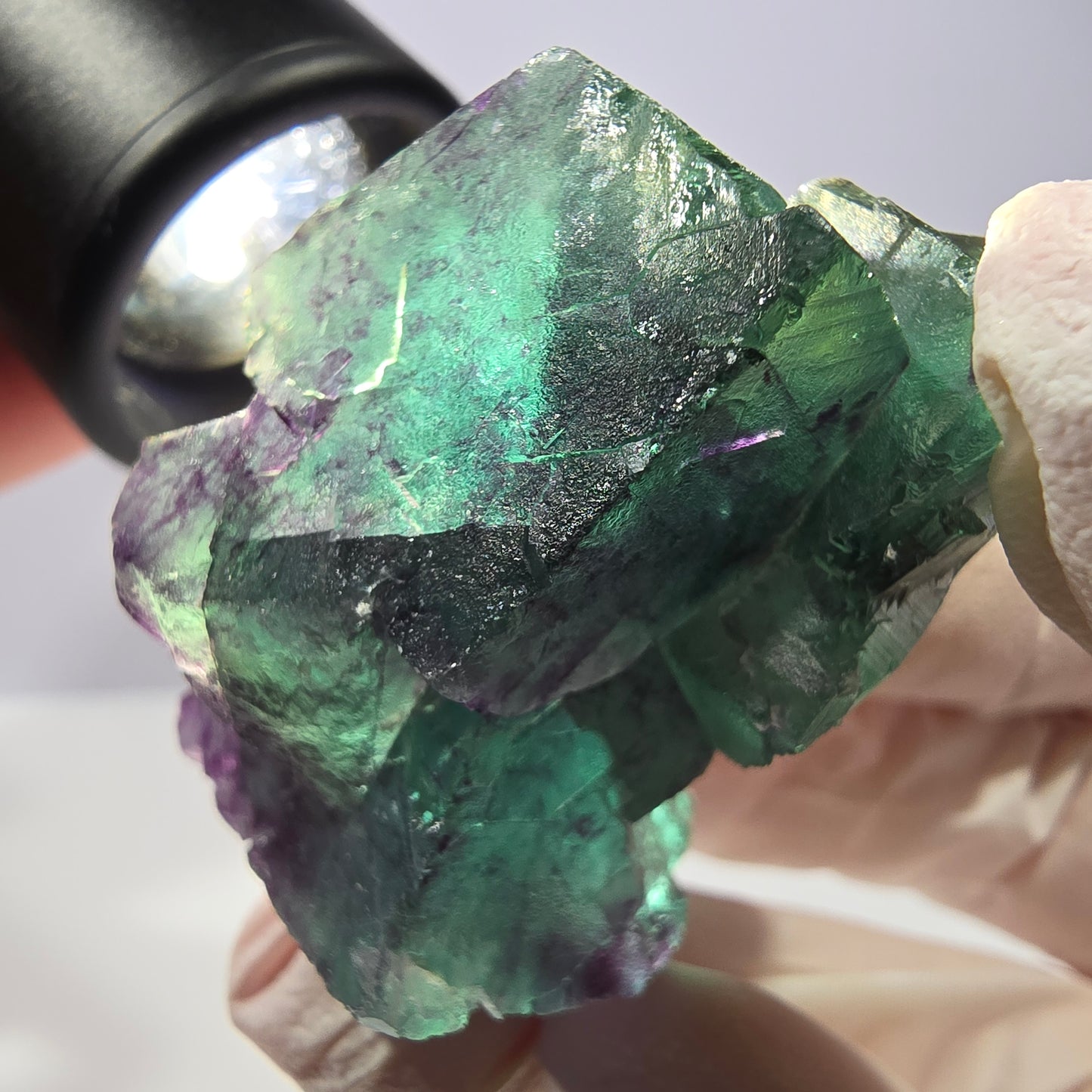 Spécimen de cube de fluorite fantôme, parqueté vert violet Okorusu, Namibie 45*33*24 mm 