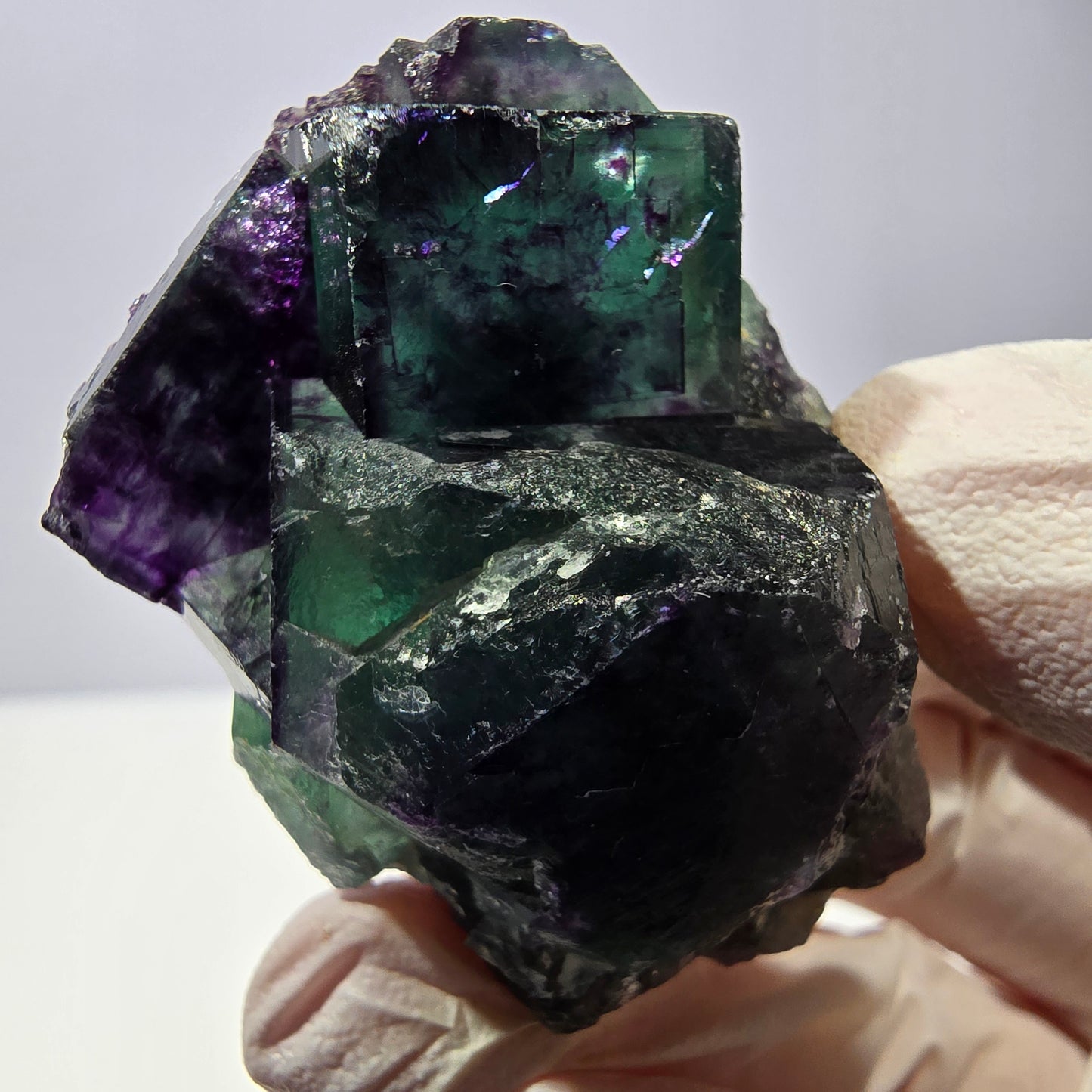 Spécimen de cube de fluorite fantôme, parqueté vert violet Okorusu, Namibie 47*35*24 mm 