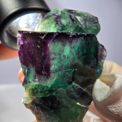 Phantom Fluorit Würfel Stufe, parkettiert grün lila Okorusu, Namibia 51*40*21mm